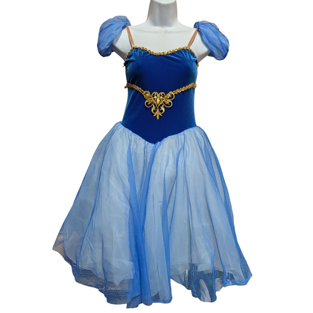 Unbranded Princess Dress Women One Size Blue Excellent Velvet Tulle Gold Trim